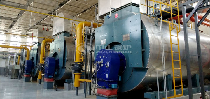 伊利乳業(yè)20噸燃?xì)庹羝仩t項(xiàng)目